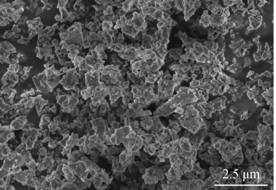 Fig.1 SEM images of silicon nitride powder